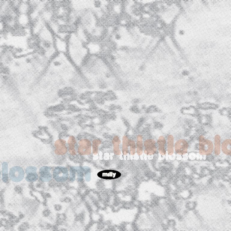 Star Thistle Blossom – Single