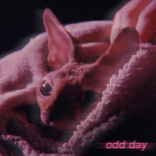 odd day – Single