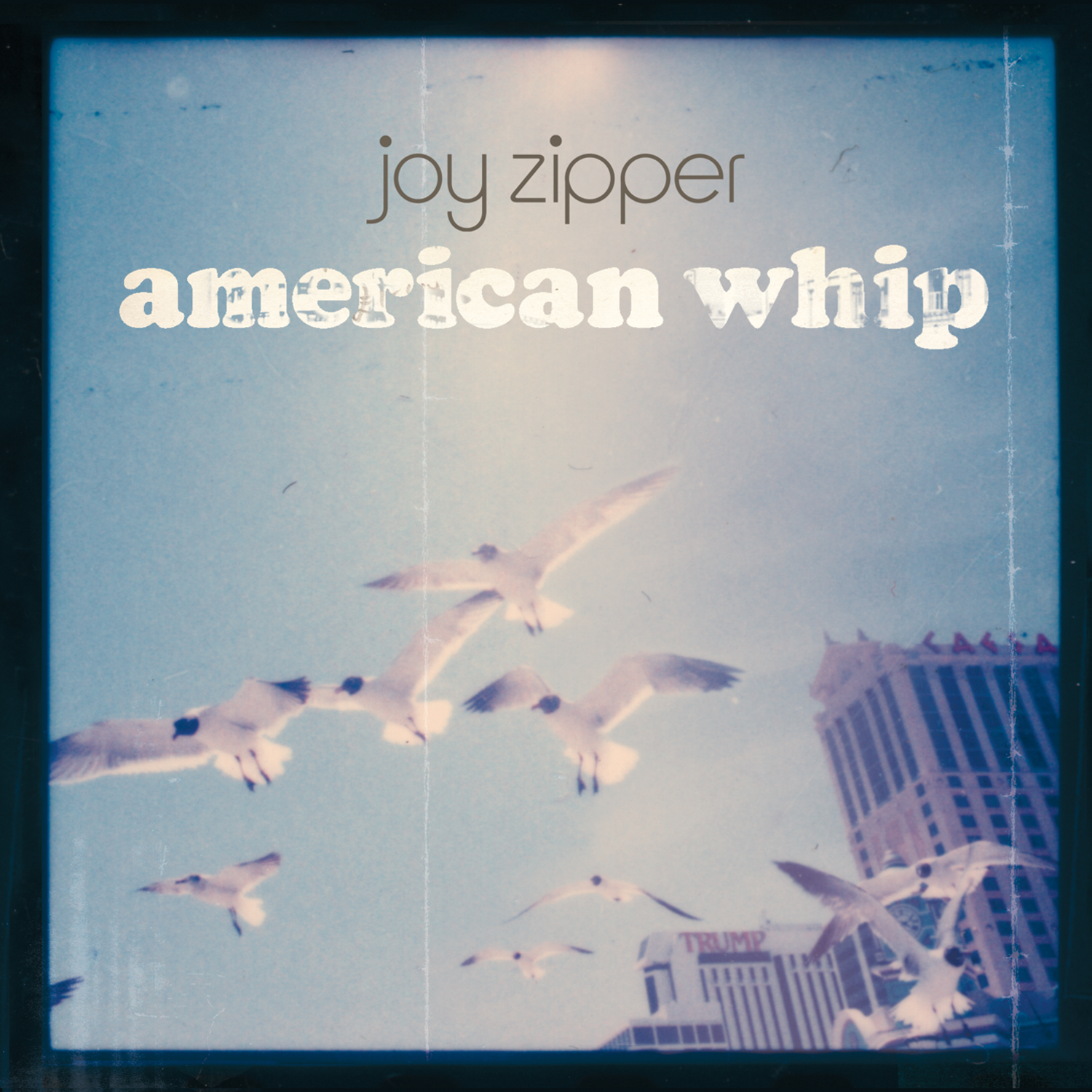American Whip